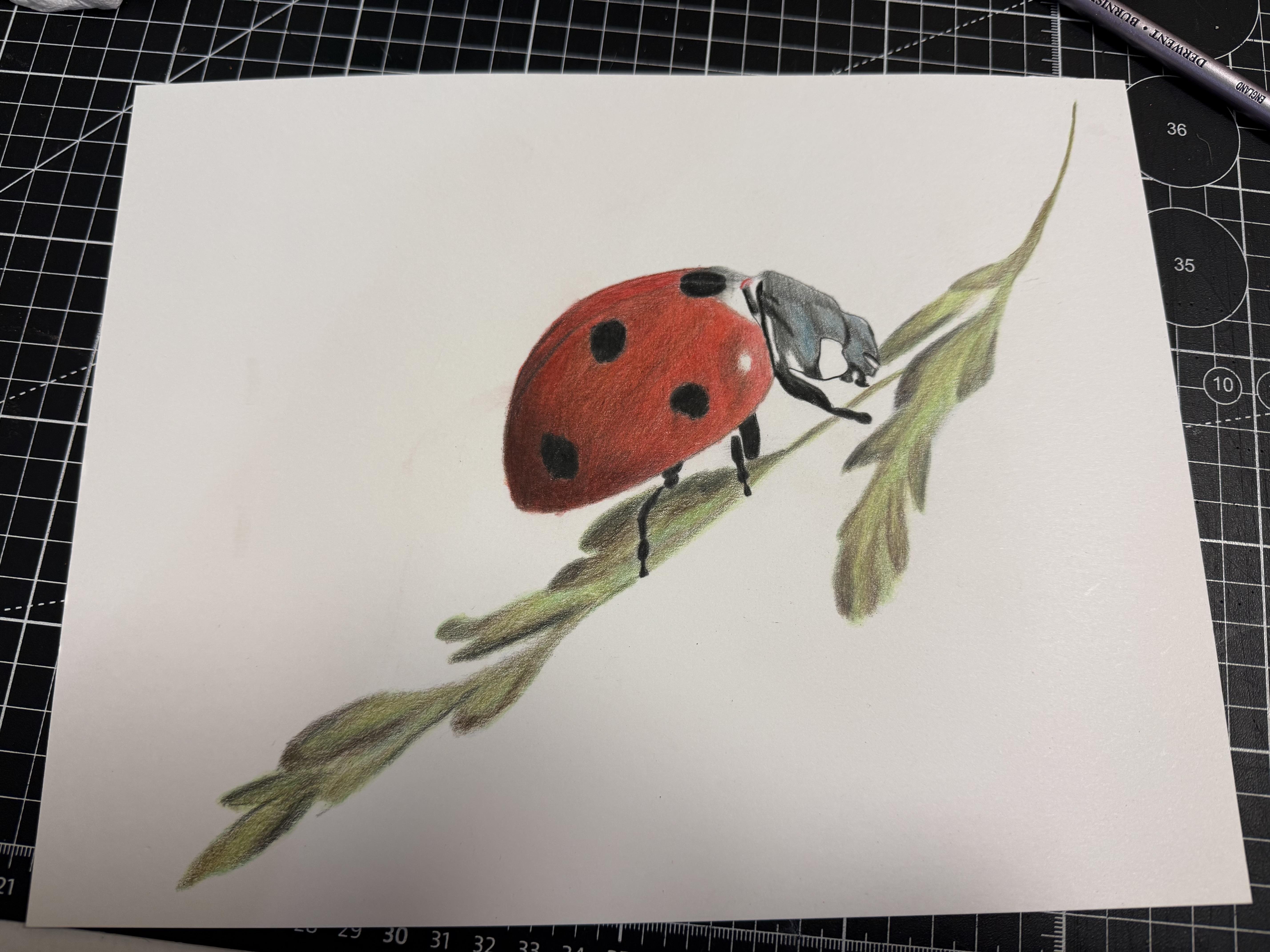more-projects-from-class-img
