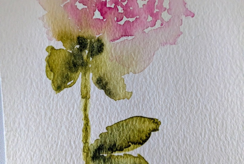 Loose watercolor rose