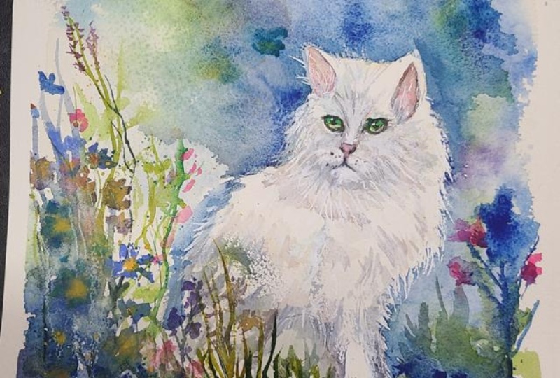 Grumpy cat in the garden