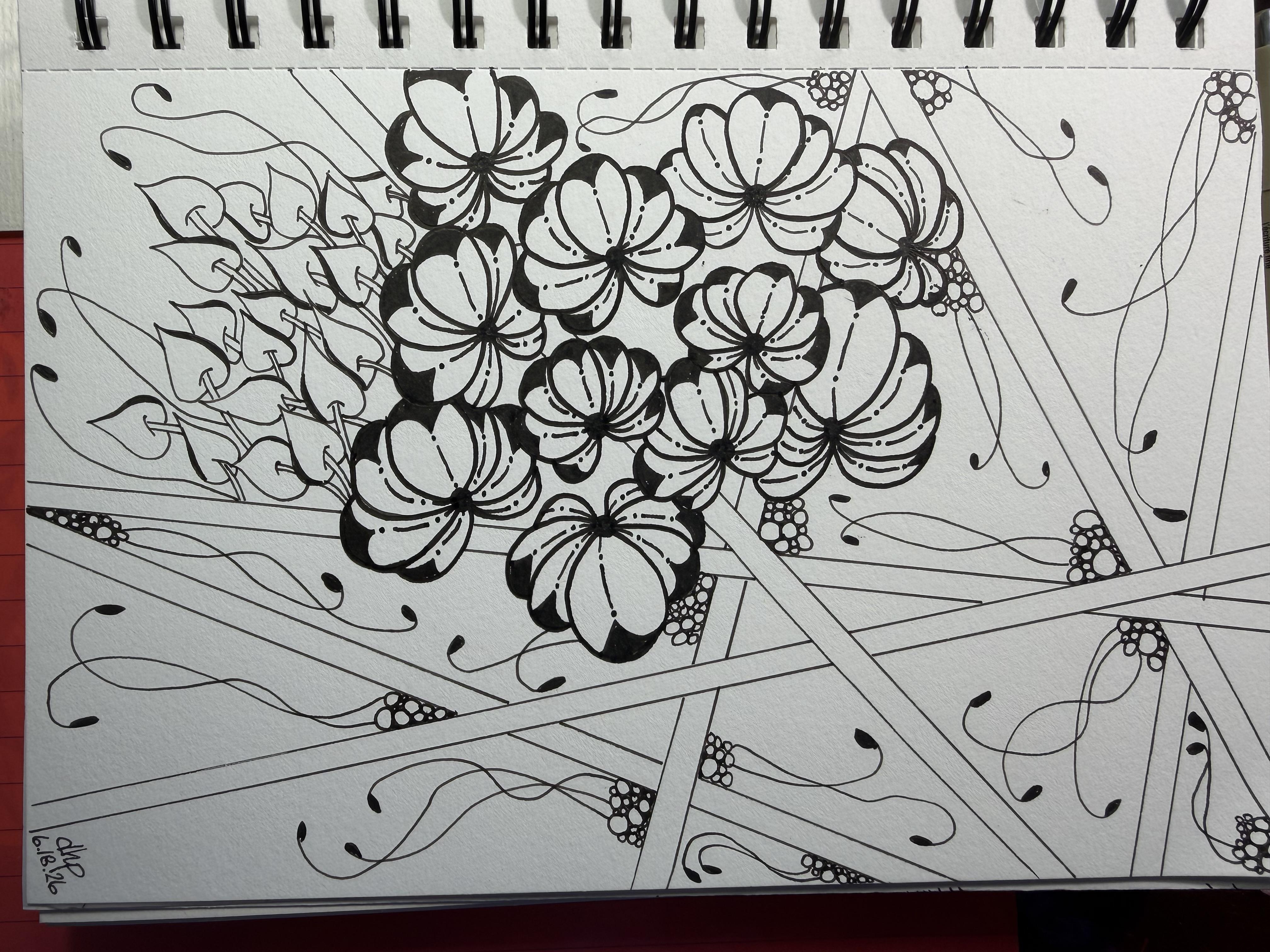 more-projects-from-class-img