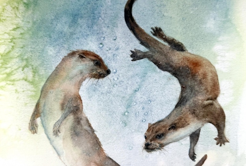 Otter Ballet