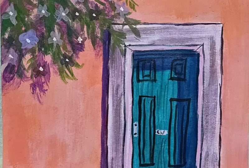 Acrylic door