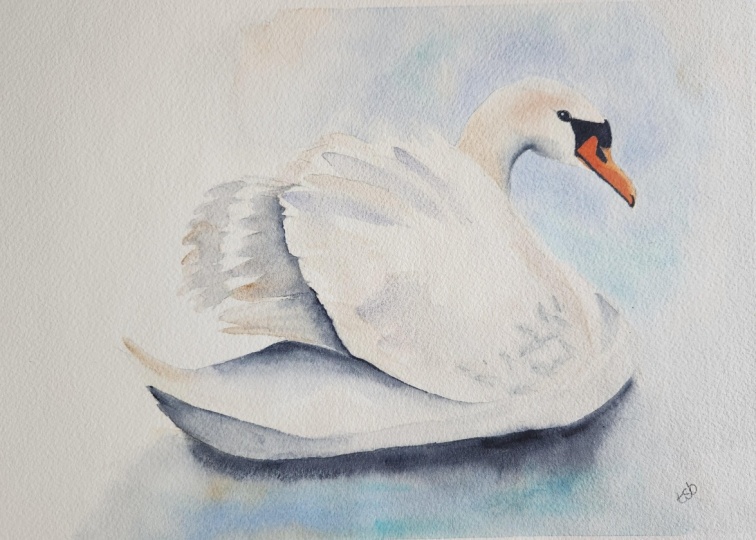 Swan with Nadine