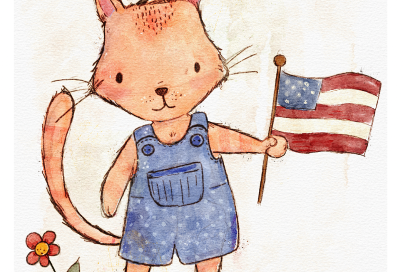 Little 4th of July cat