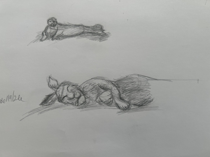 Drawings