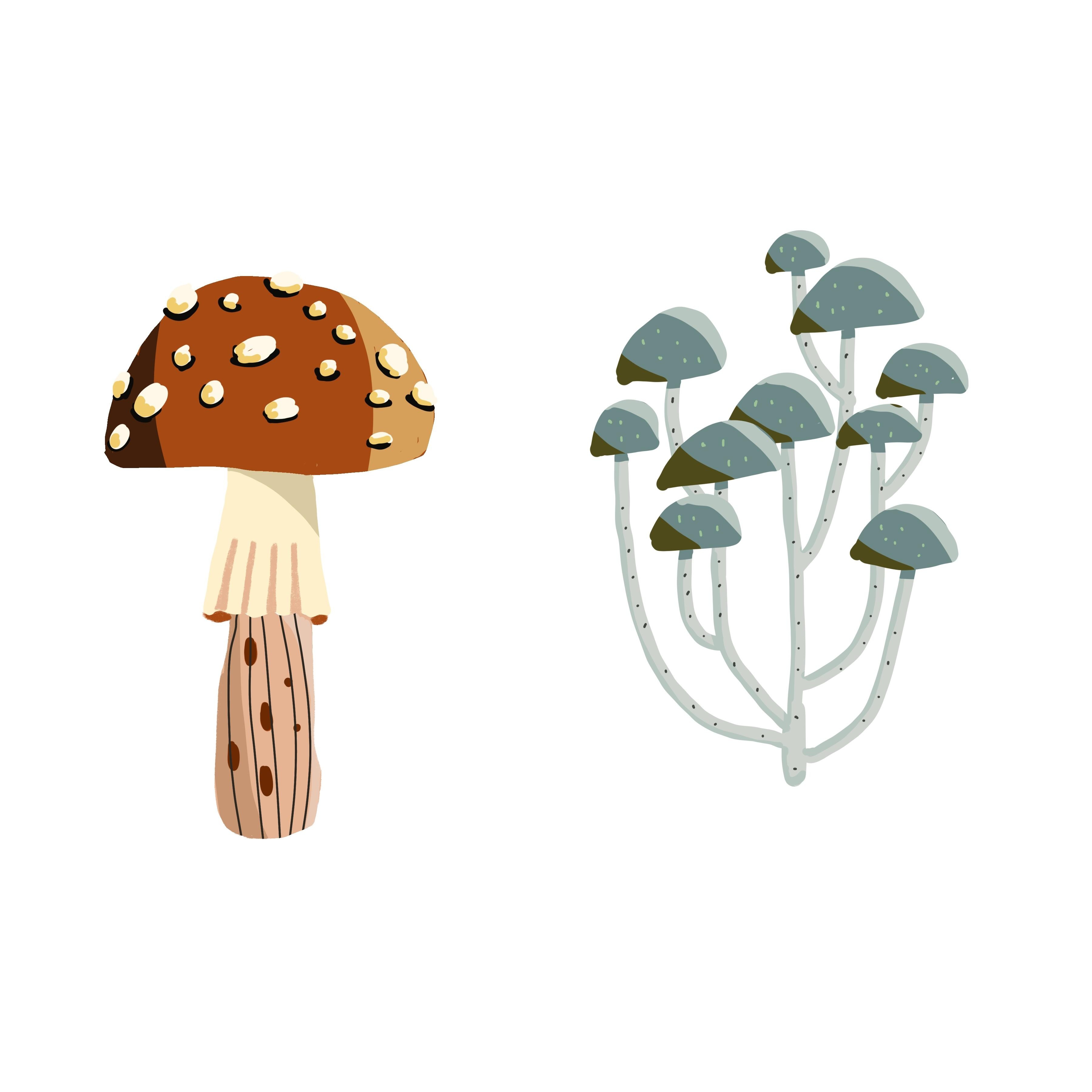 more-projects-from-class-img