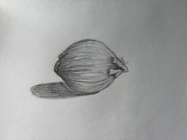 Onion and drapery shading
