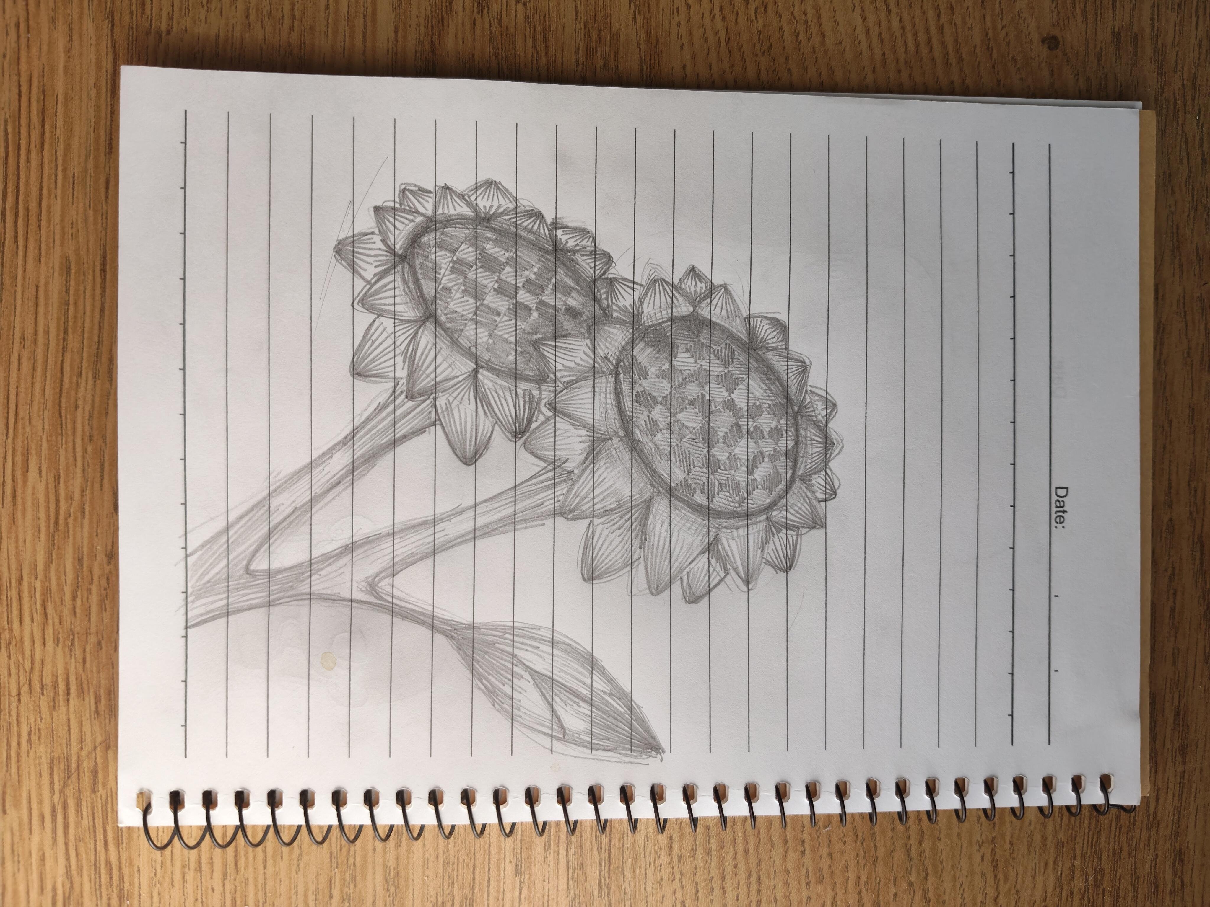 more-projects-from-class-img