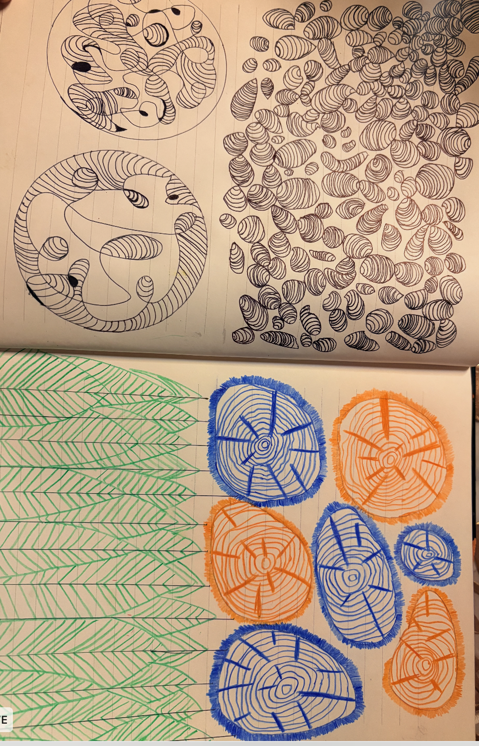more-projects-from-class-img