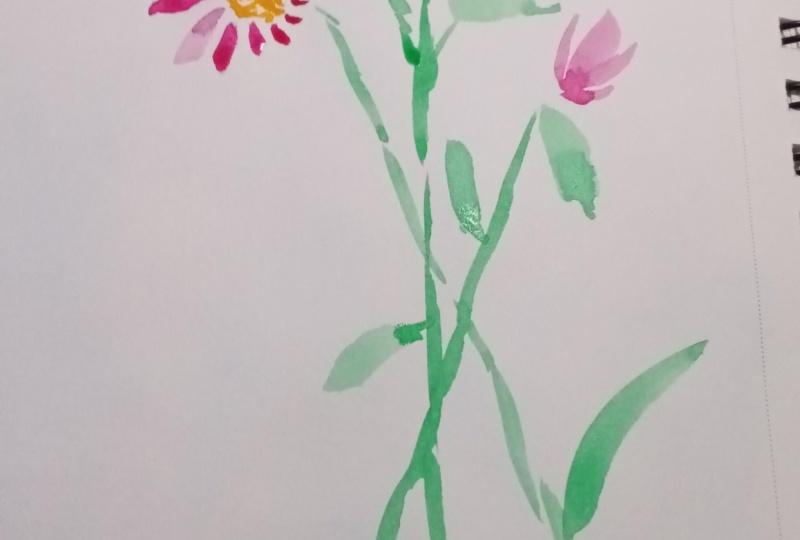 Flower angles