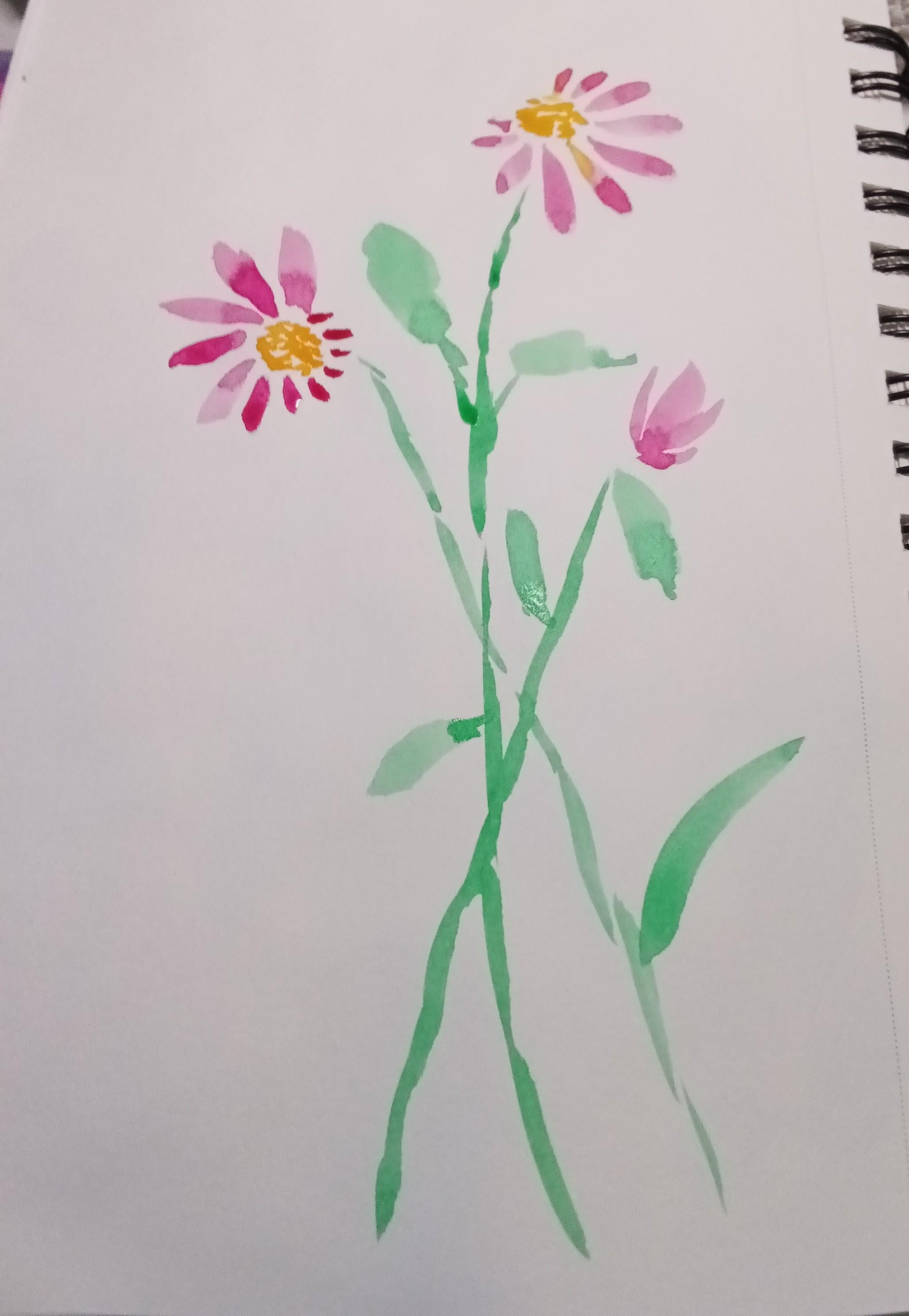 more-projects-from-class-img
