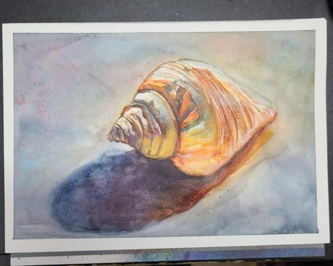 Shell Still Life with Will