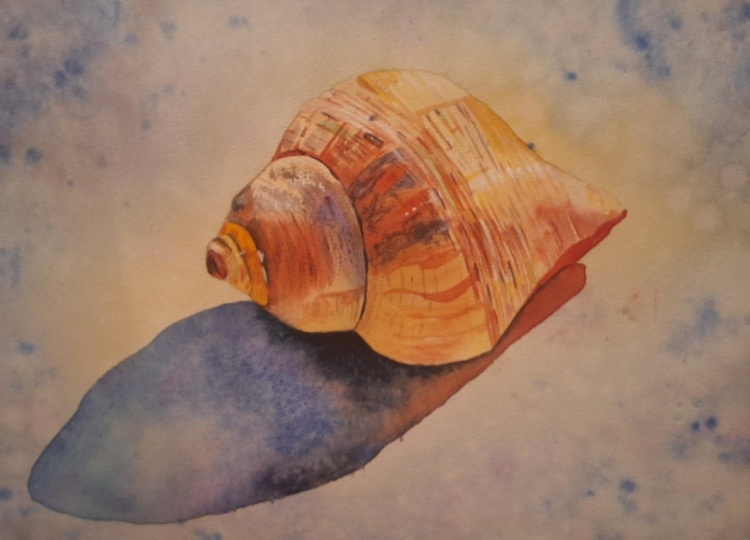 Shell