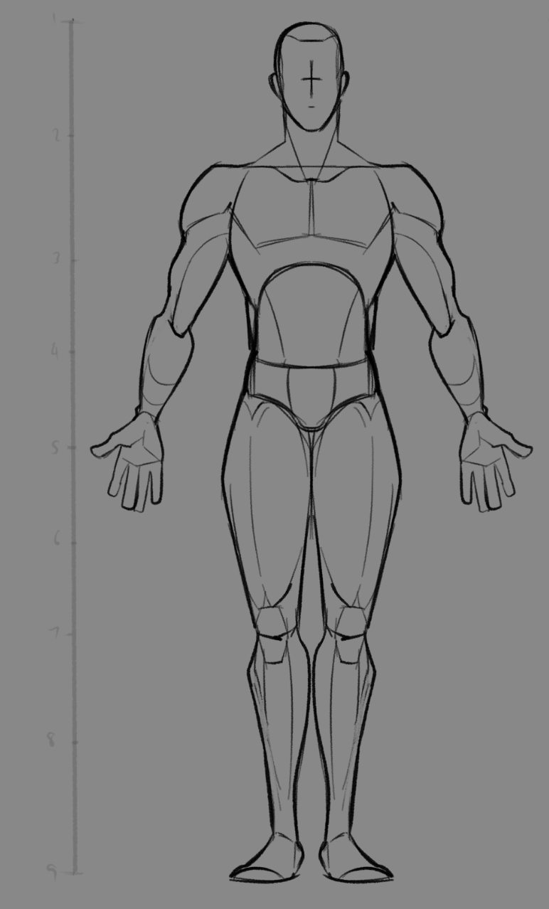 Base Anatomy (Pre-Muscle Structure) - student project