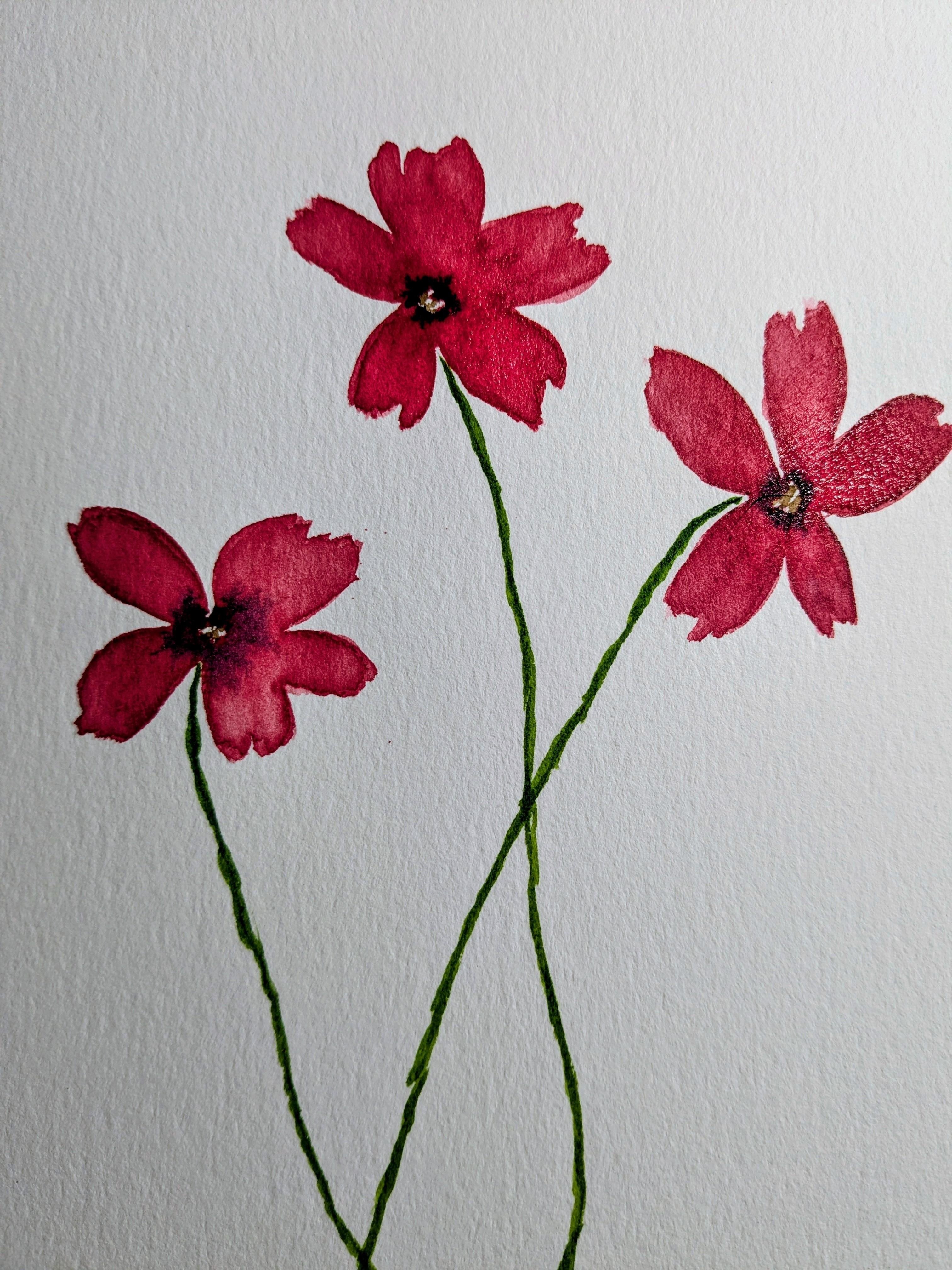 Loose Watercolor Cosmos - student project