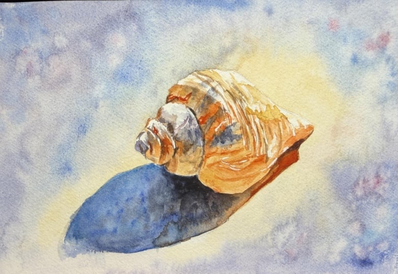 Shell