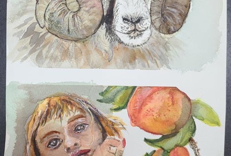 Watercolor Sketchbook 6 paintings