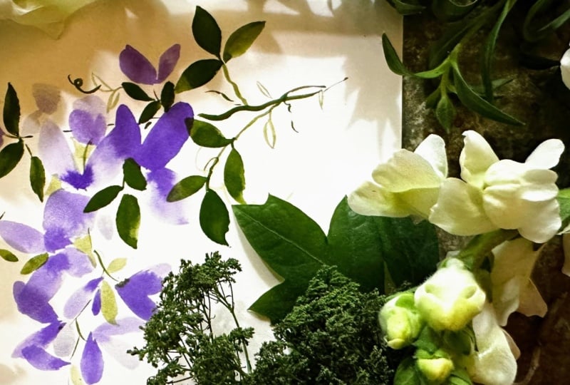 My Wisteria Study