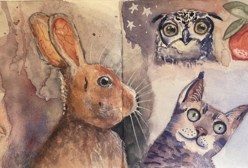 A watercolor sketchbook project