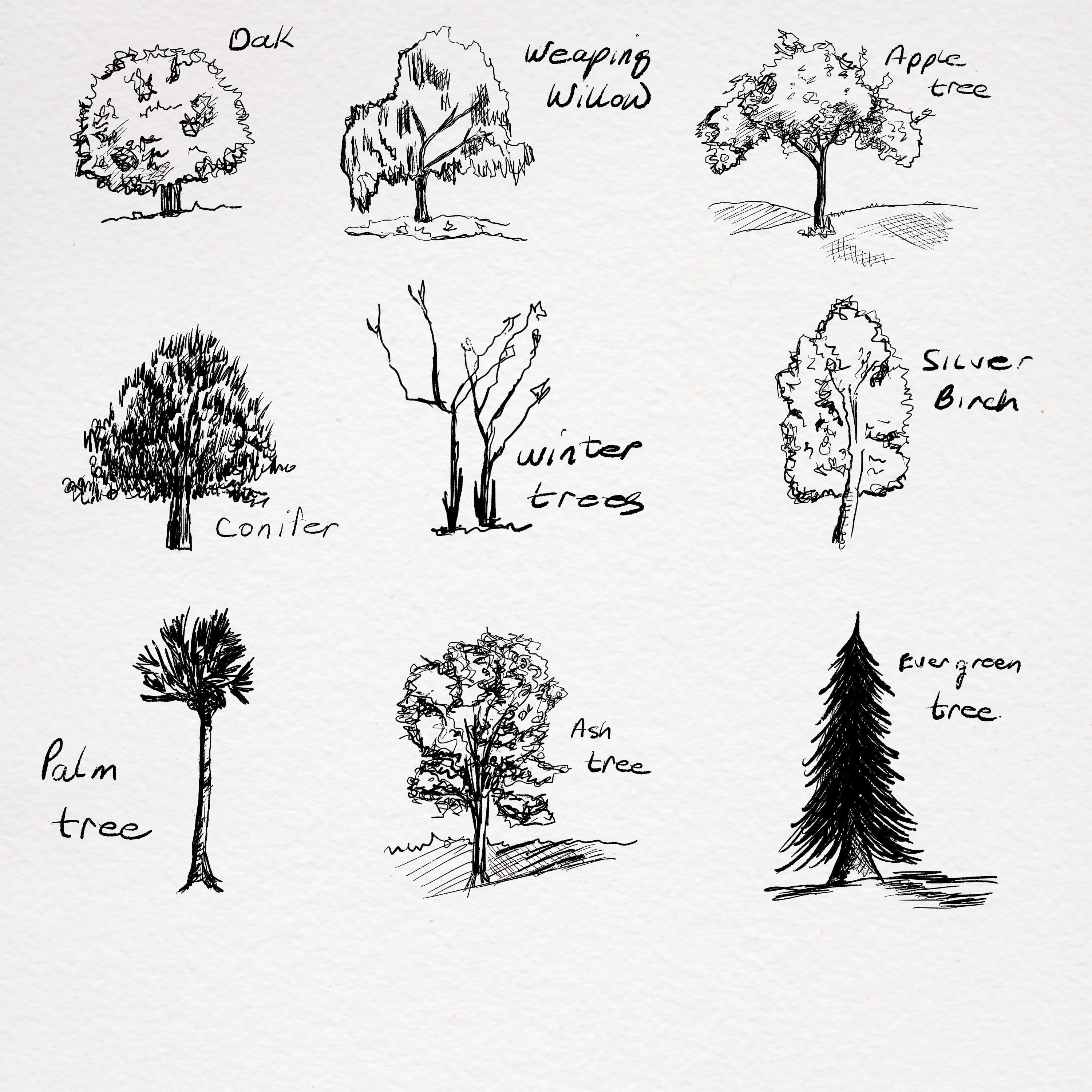 more-projects-from-class-img