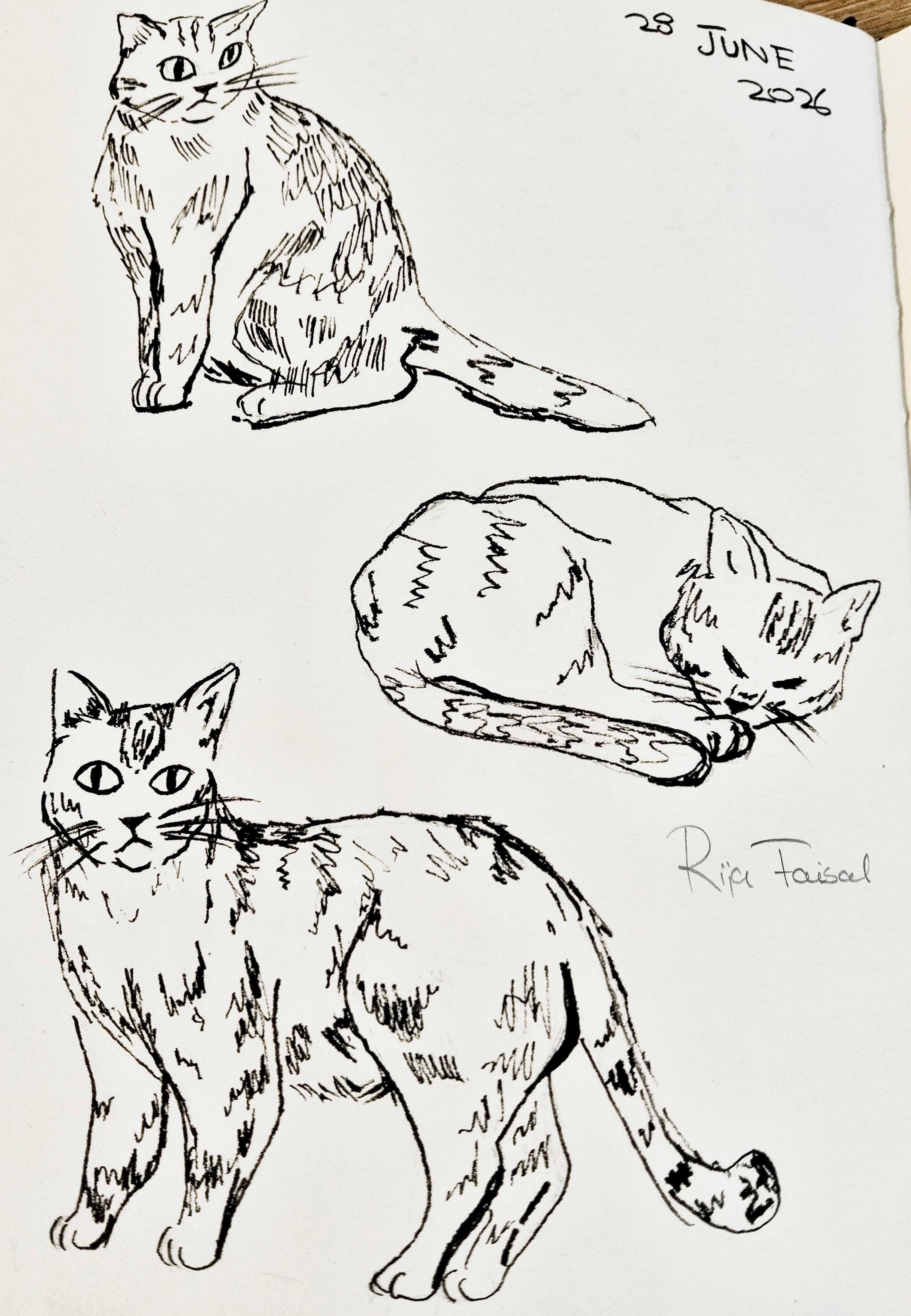 more-projects-from-class-img