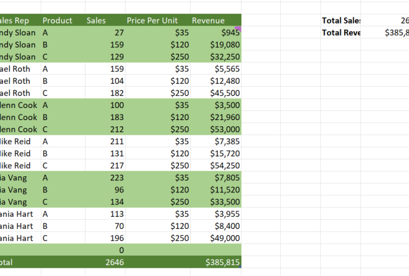 Excel Table Project