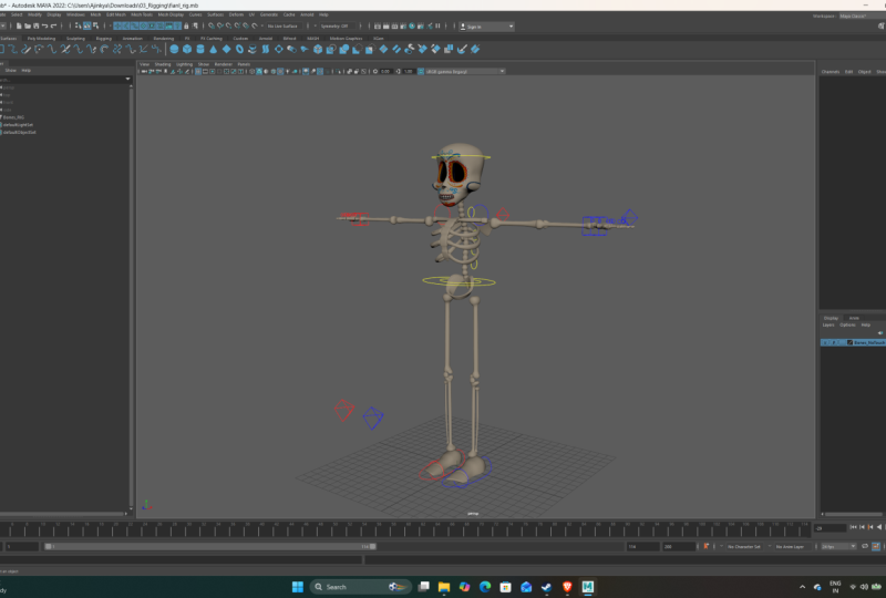 Project