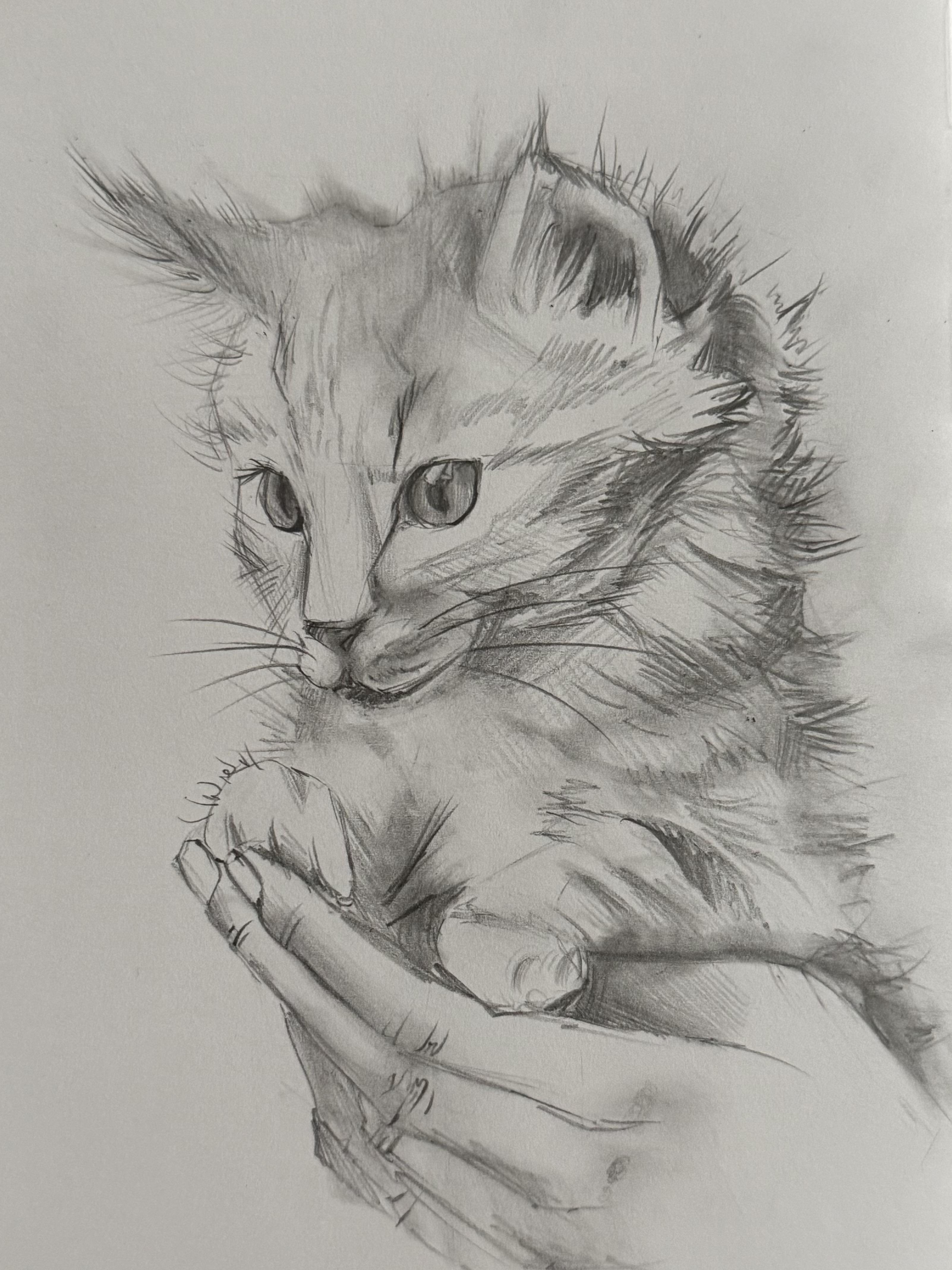 more-projects-from-class-img