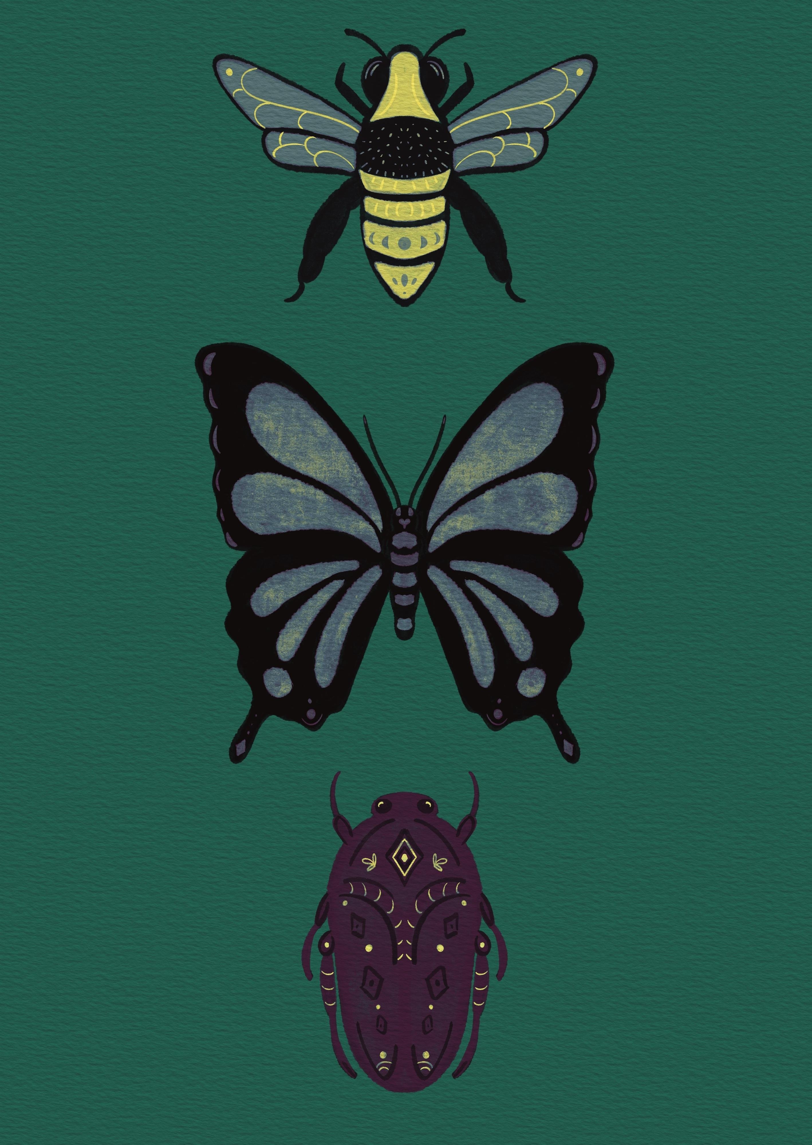 more-projects-from-class-img