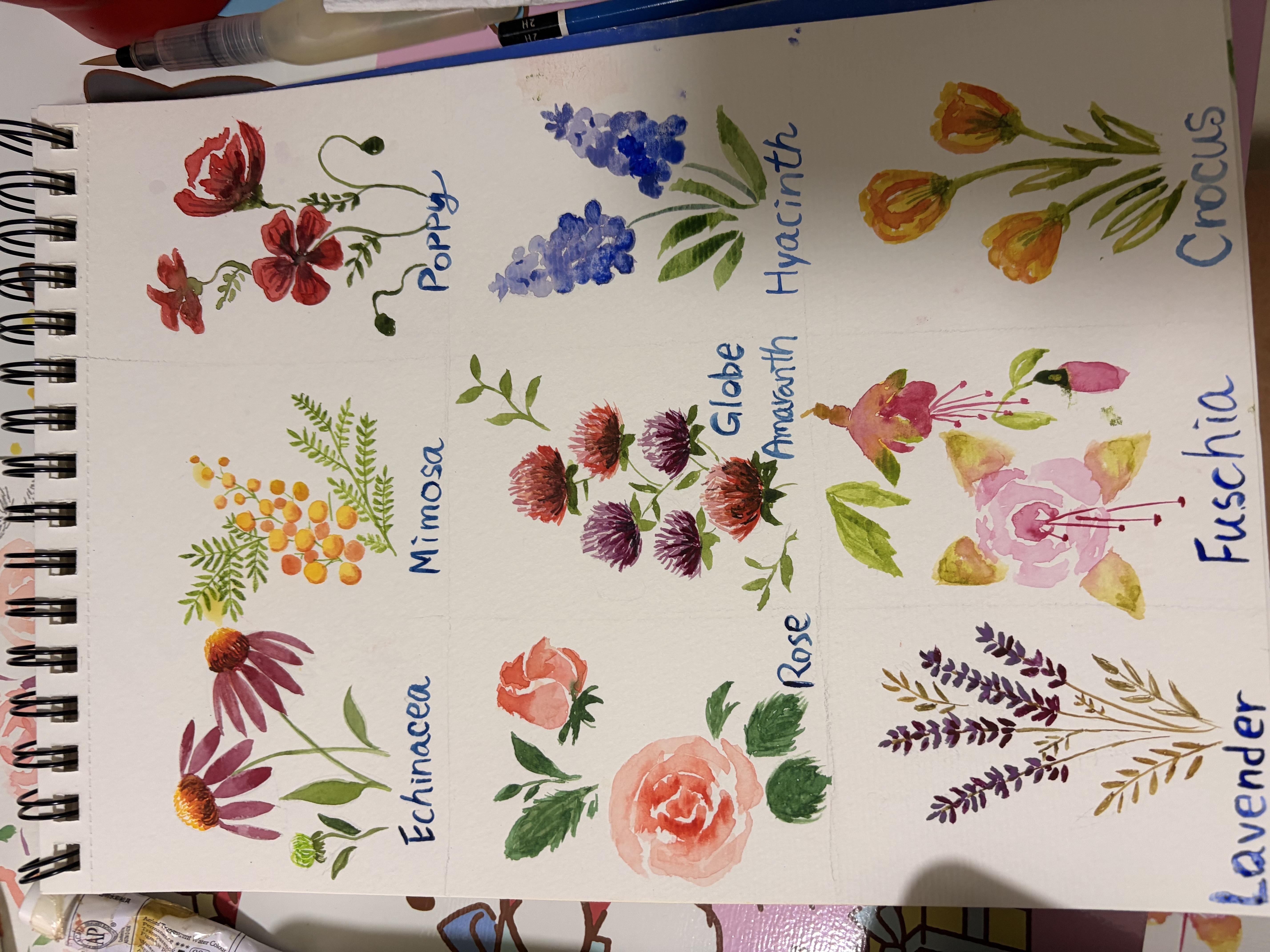 more-projects-from-class-img