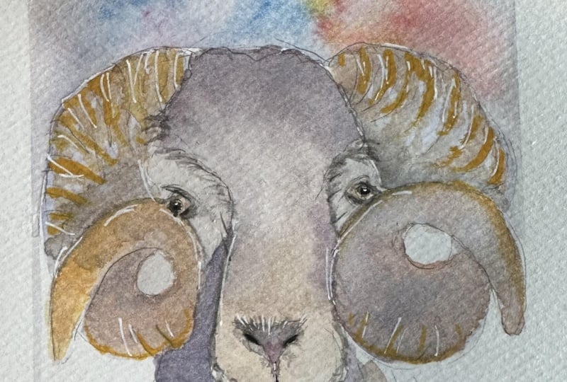 Ram