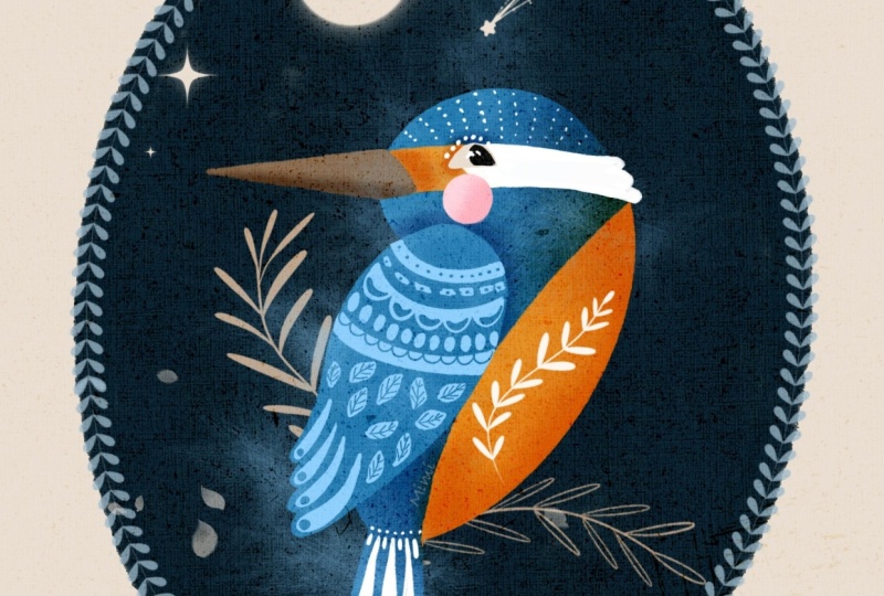 Kingfisher enjoying the night sky!!