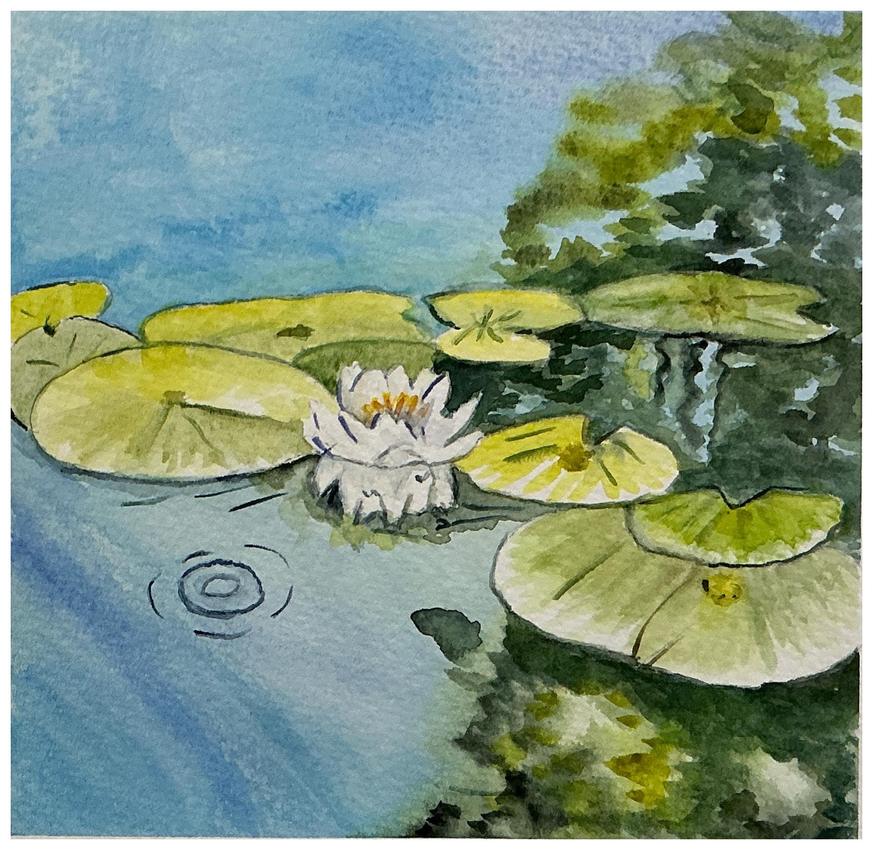 Water Reflections - student project