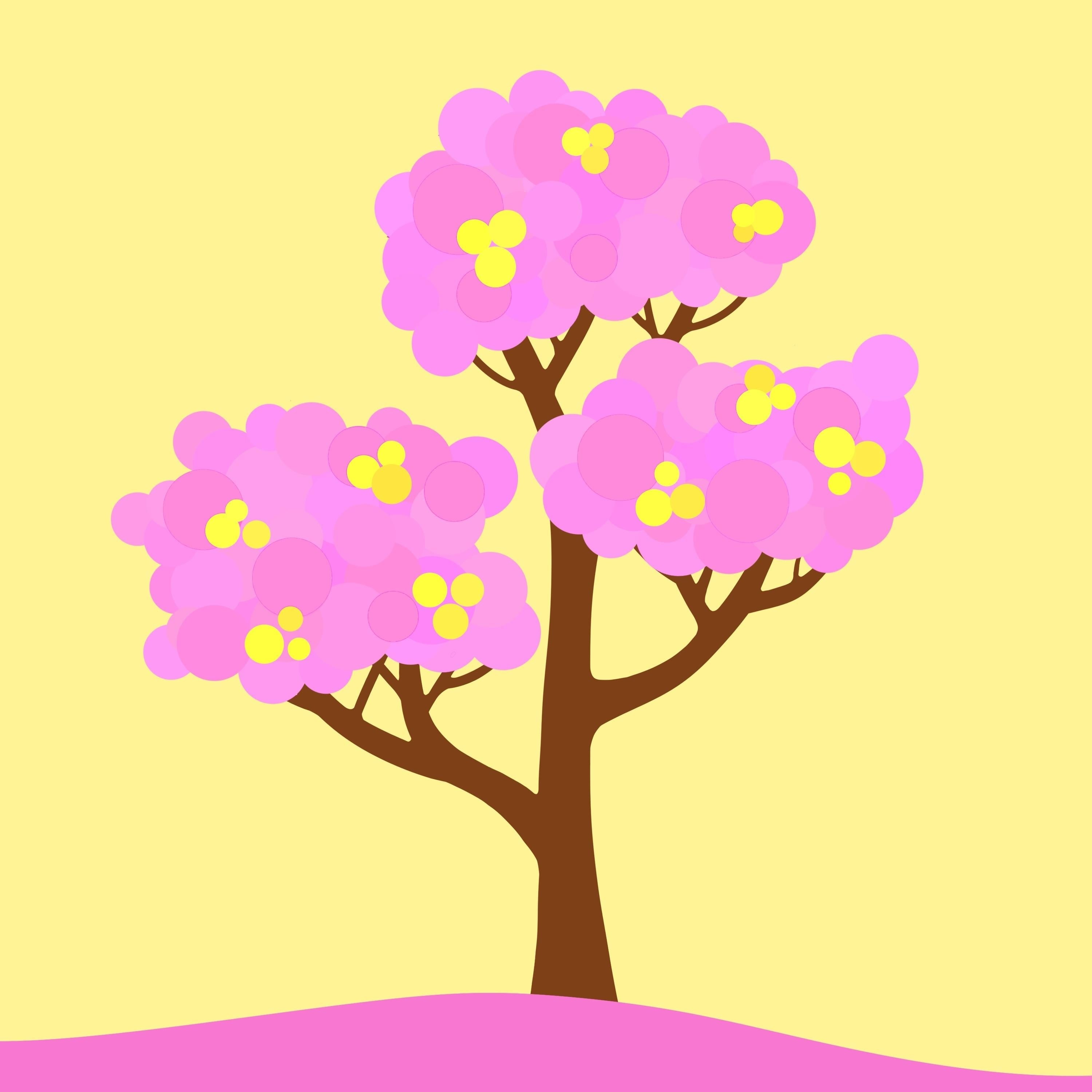 more-projects-from-class-img
