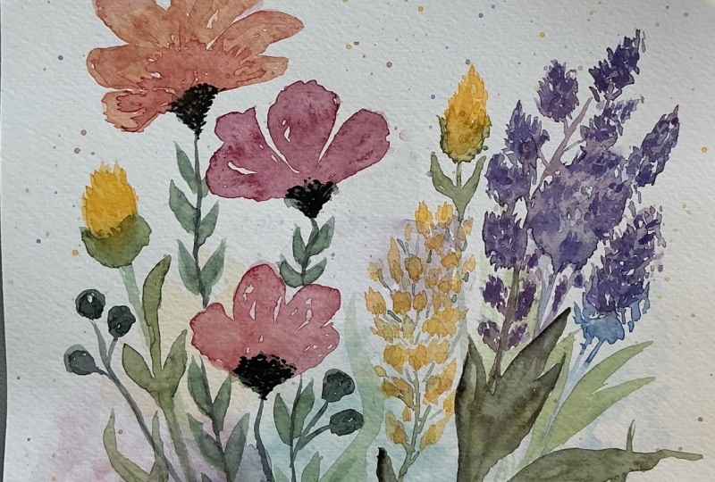 Wildflowers, picked up watercolor after ages!