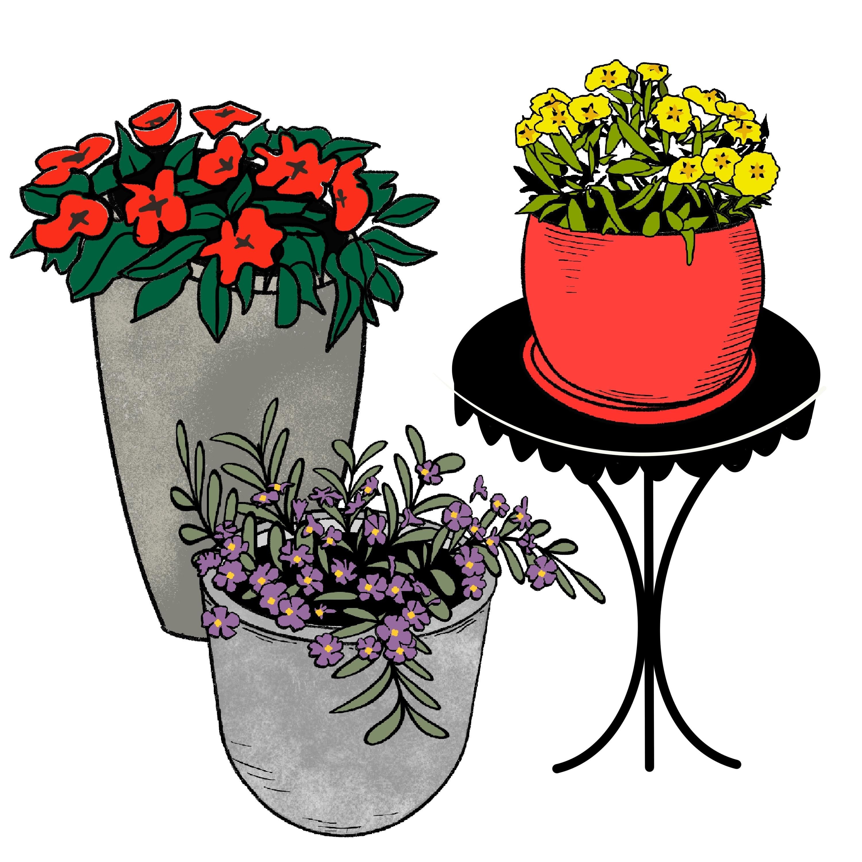 more-projects-from-class-img