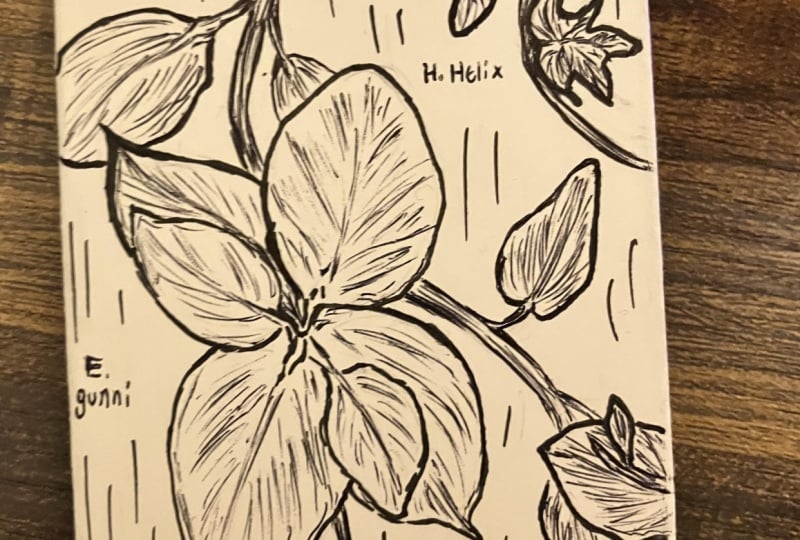 Botanical zine