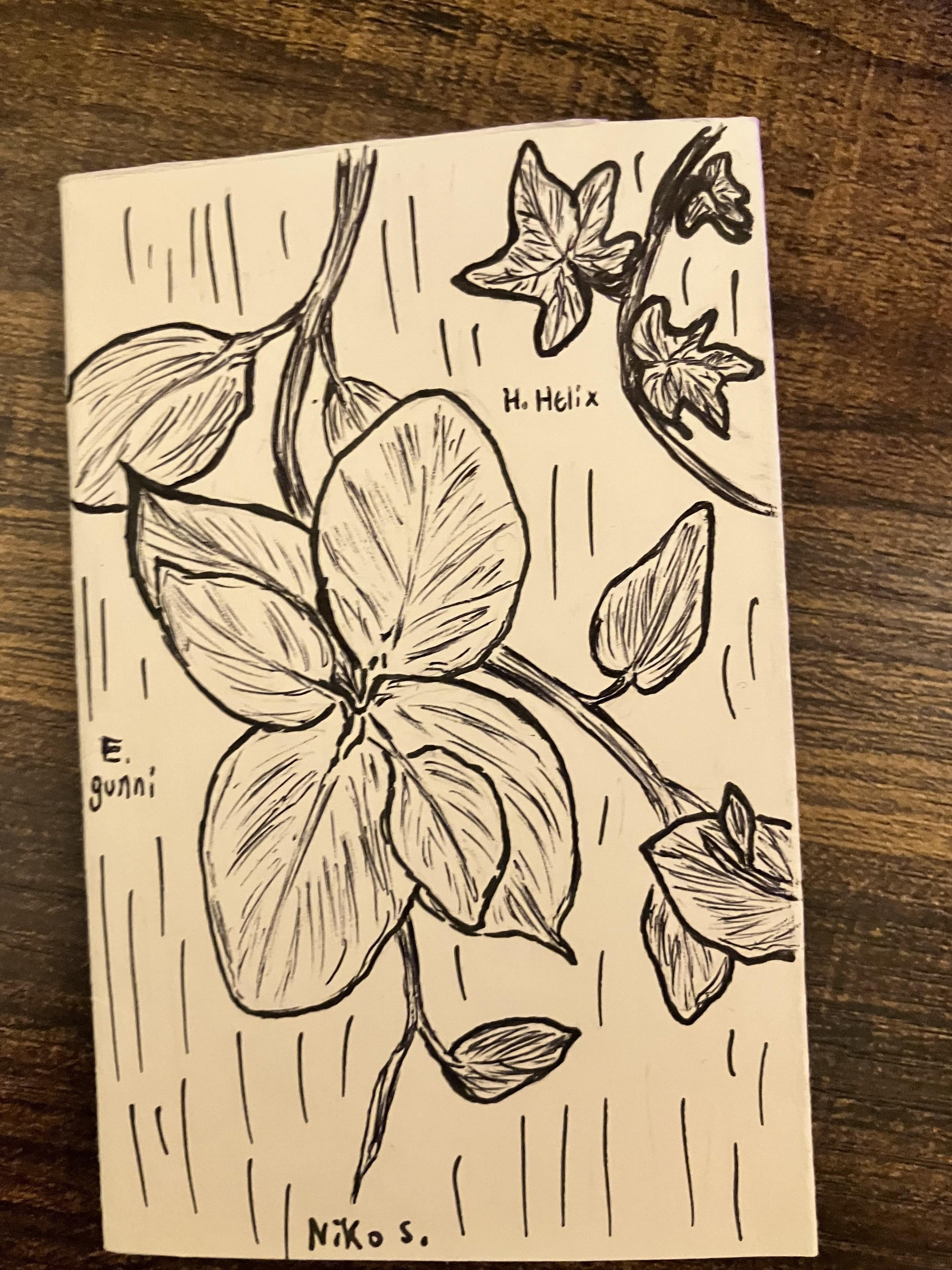 more-projects-from-class-img