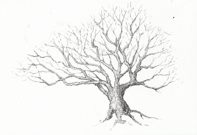 Winter and Summer Trees