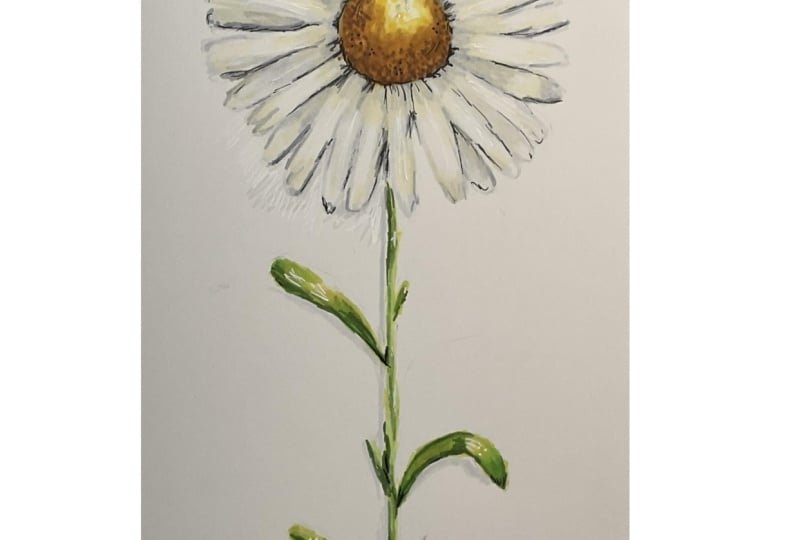 Daisy & Sunflower