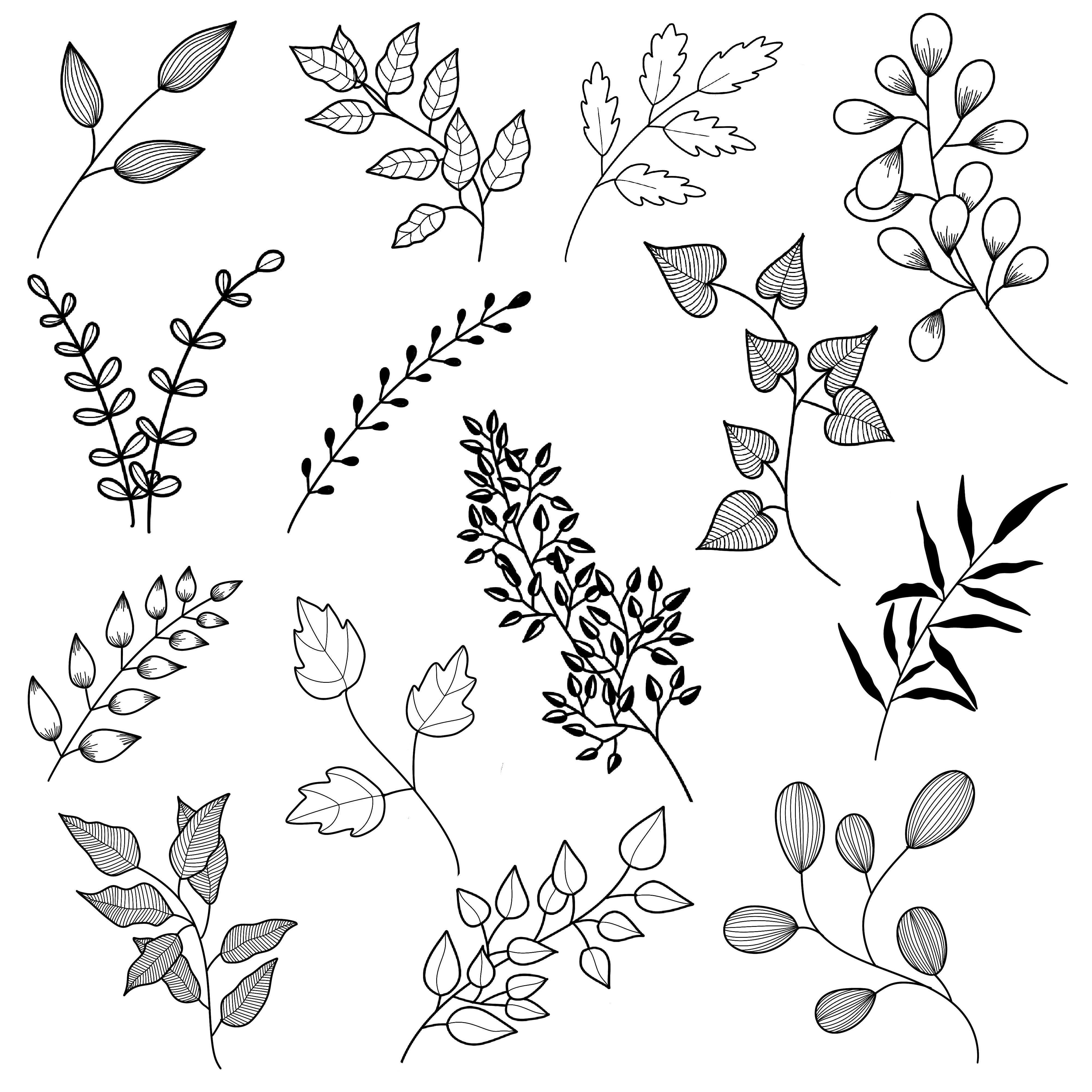 more-projects-from-class-img