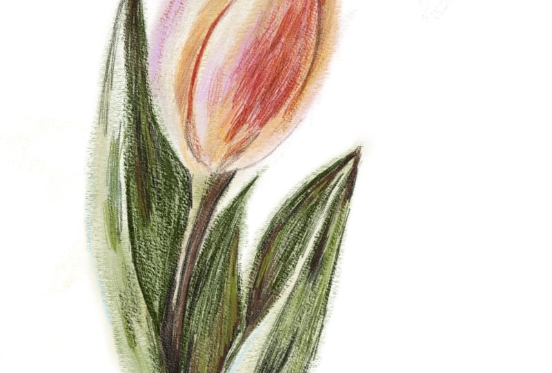 Watercolour pencils