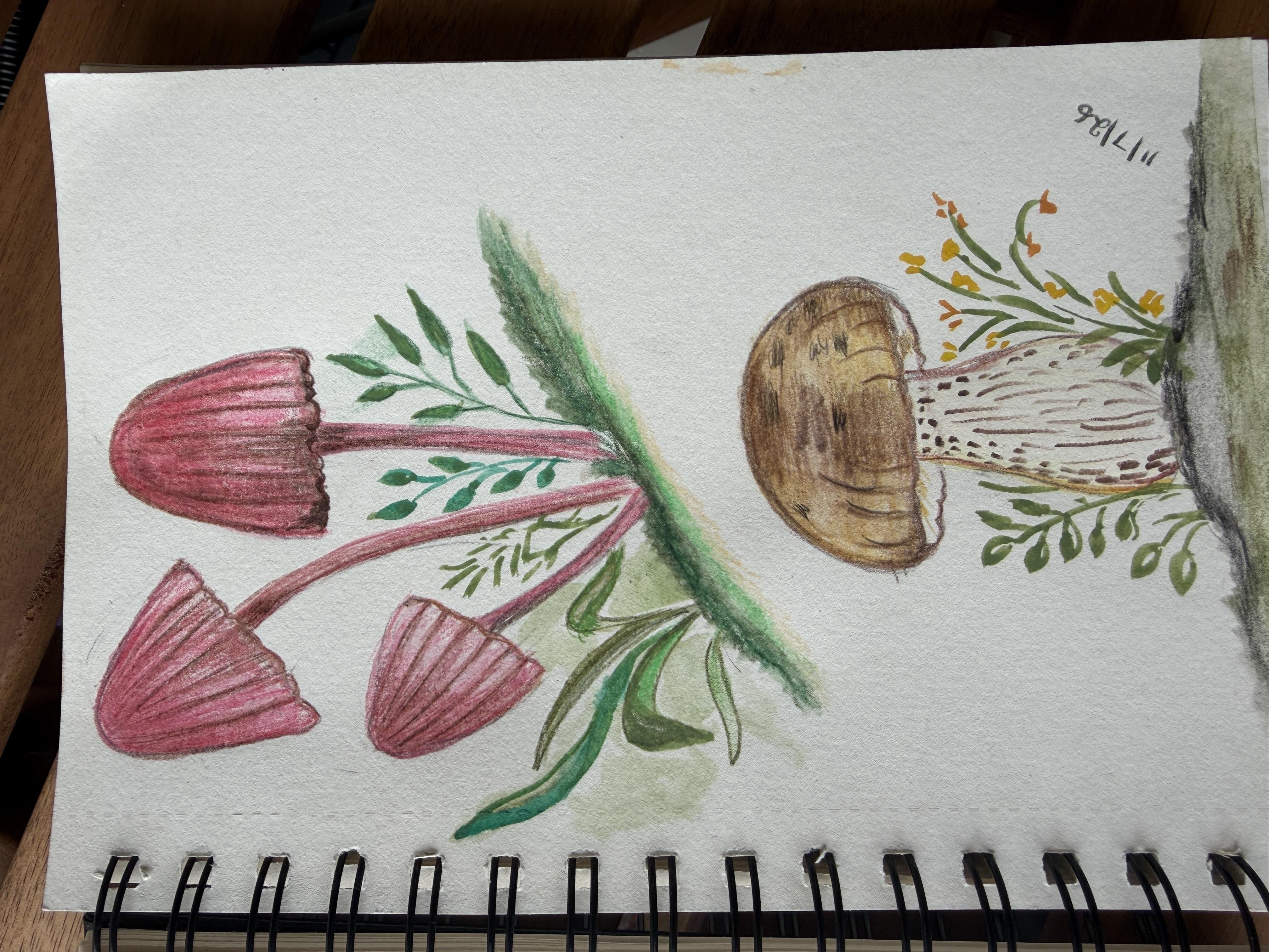 more-projects-from-class-img