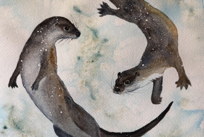 River Otters