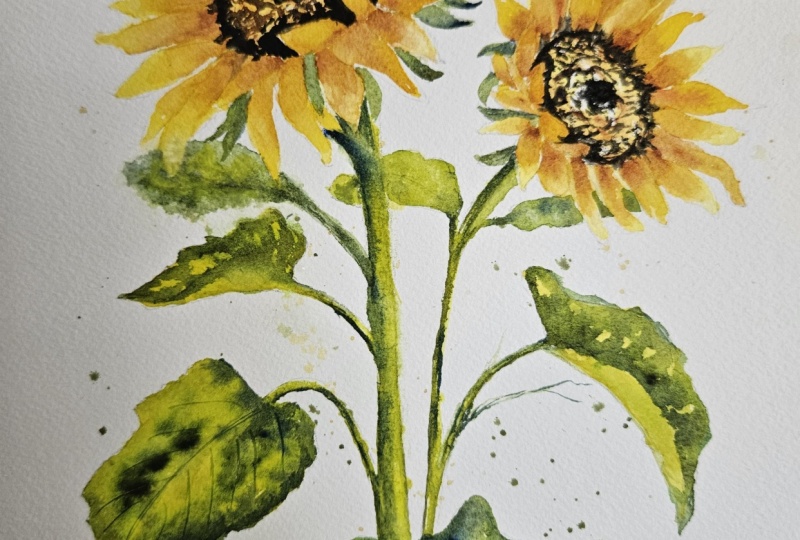 Sunflowers with Carrie