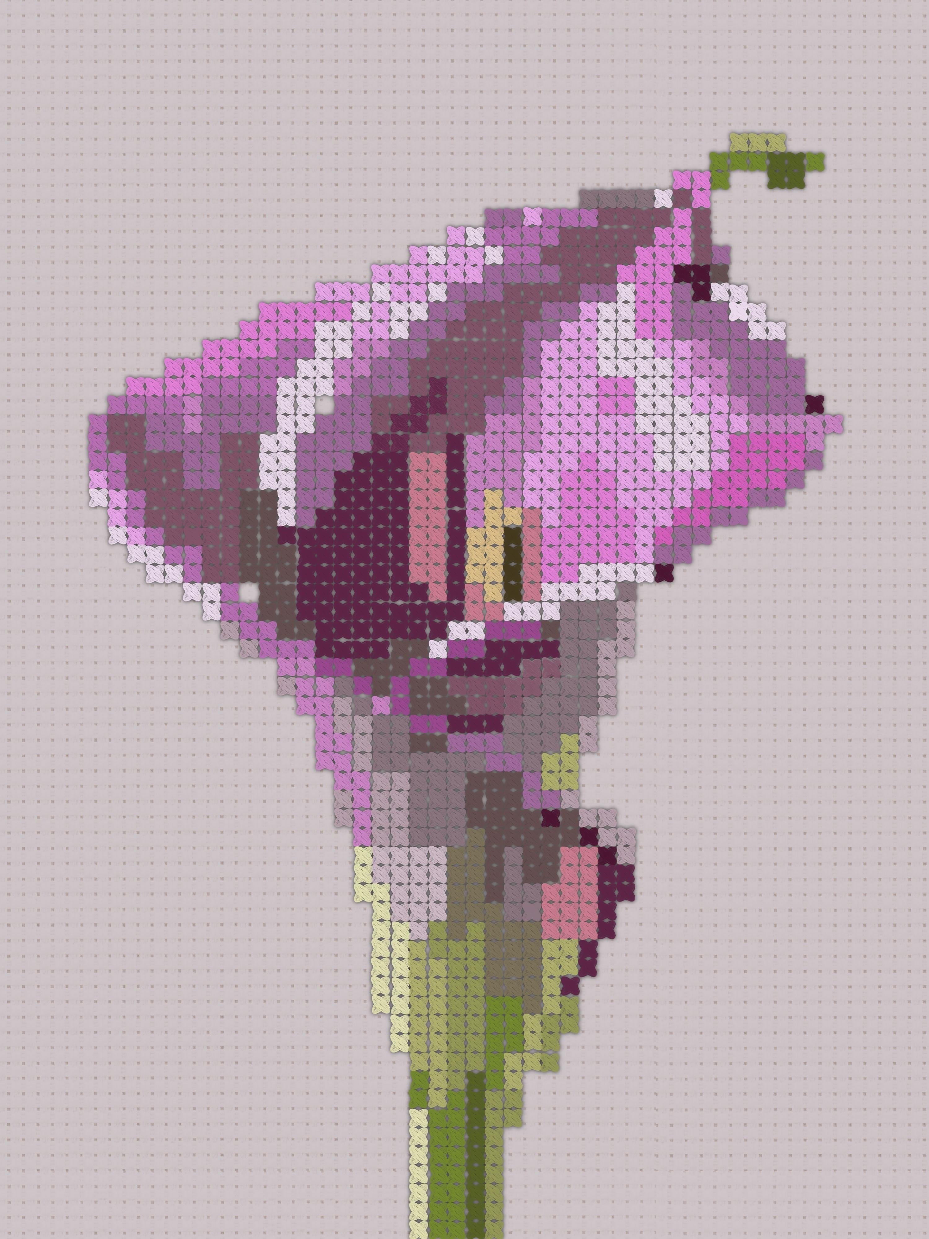 more-projects-from-class-img