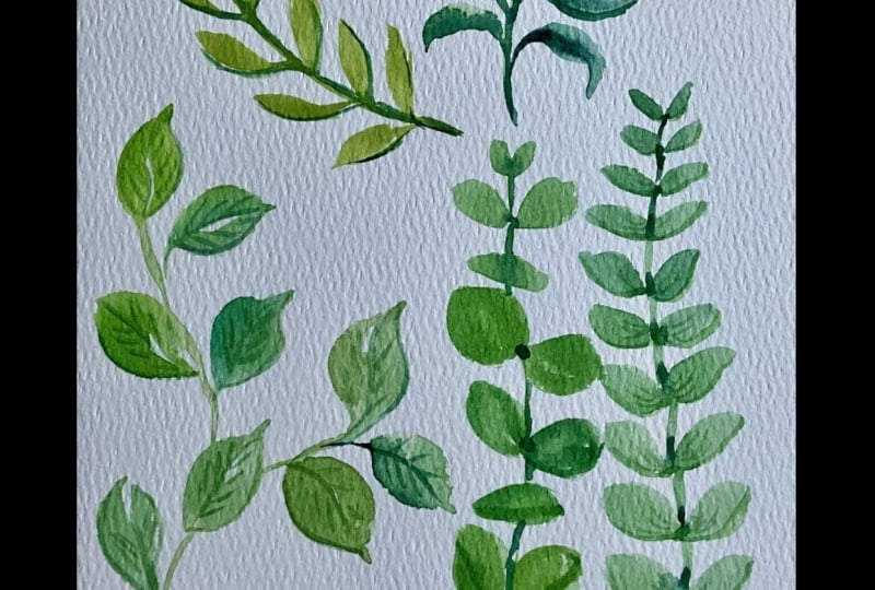 Leaves