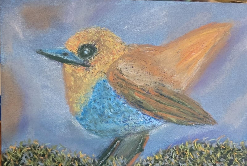 Fluffy Robin with Pastels