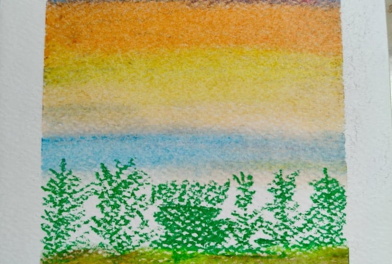 BOSQUE CON PASTEL