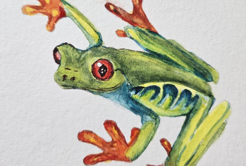 Tree frog